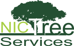 NIC-Logo