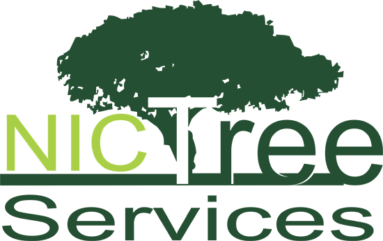 NIC Tree Servics