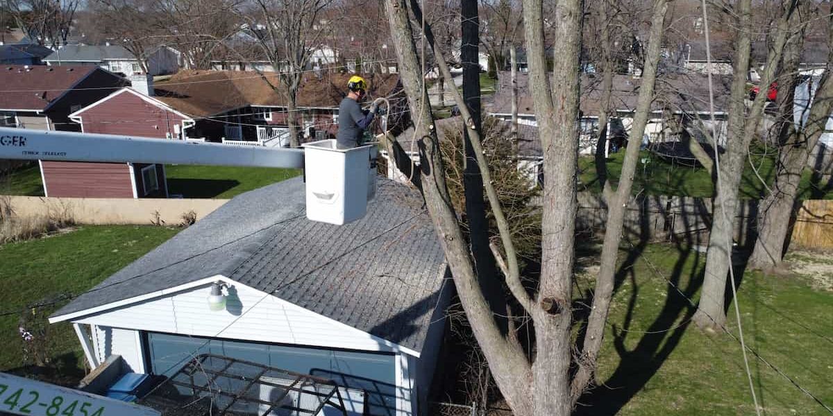 Residential Tree Services