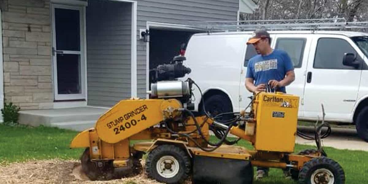 Stump Grinding services