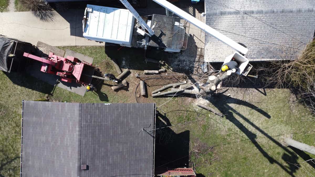 Wood Chipping & Disposal – NIC Tree Servics
